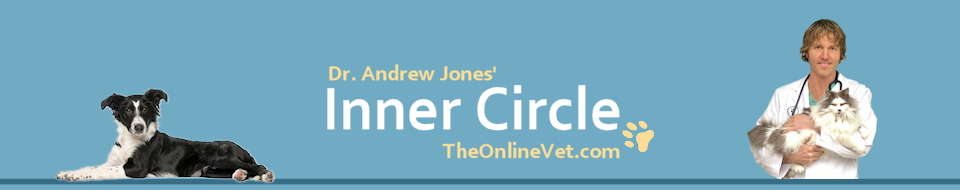 Dr. Andrew Jones The Online Vet: Dog and Cat Health